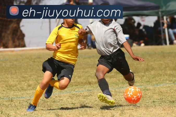 九游会J9官网APP 封面图